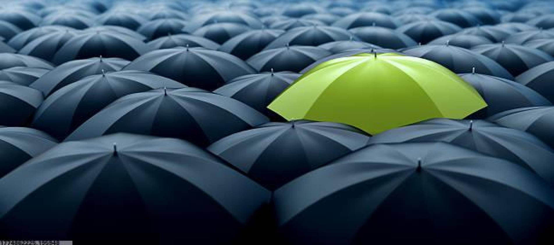 高品质运动营养产品线